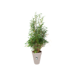 loft urban rond haut 42cm gris chaud